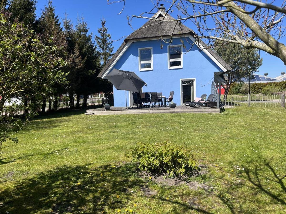 Ferienhaus De Niege Leive Born Exterior foto